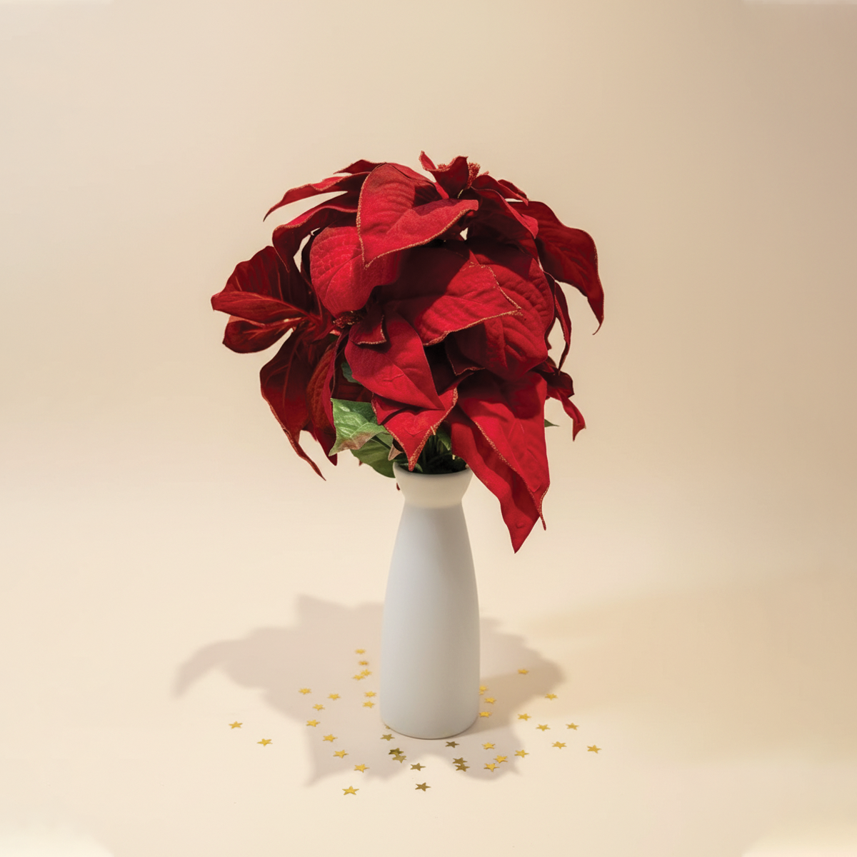 Christmas Poinsettia Clean Studio Photo
